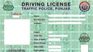 driving license verification dlims